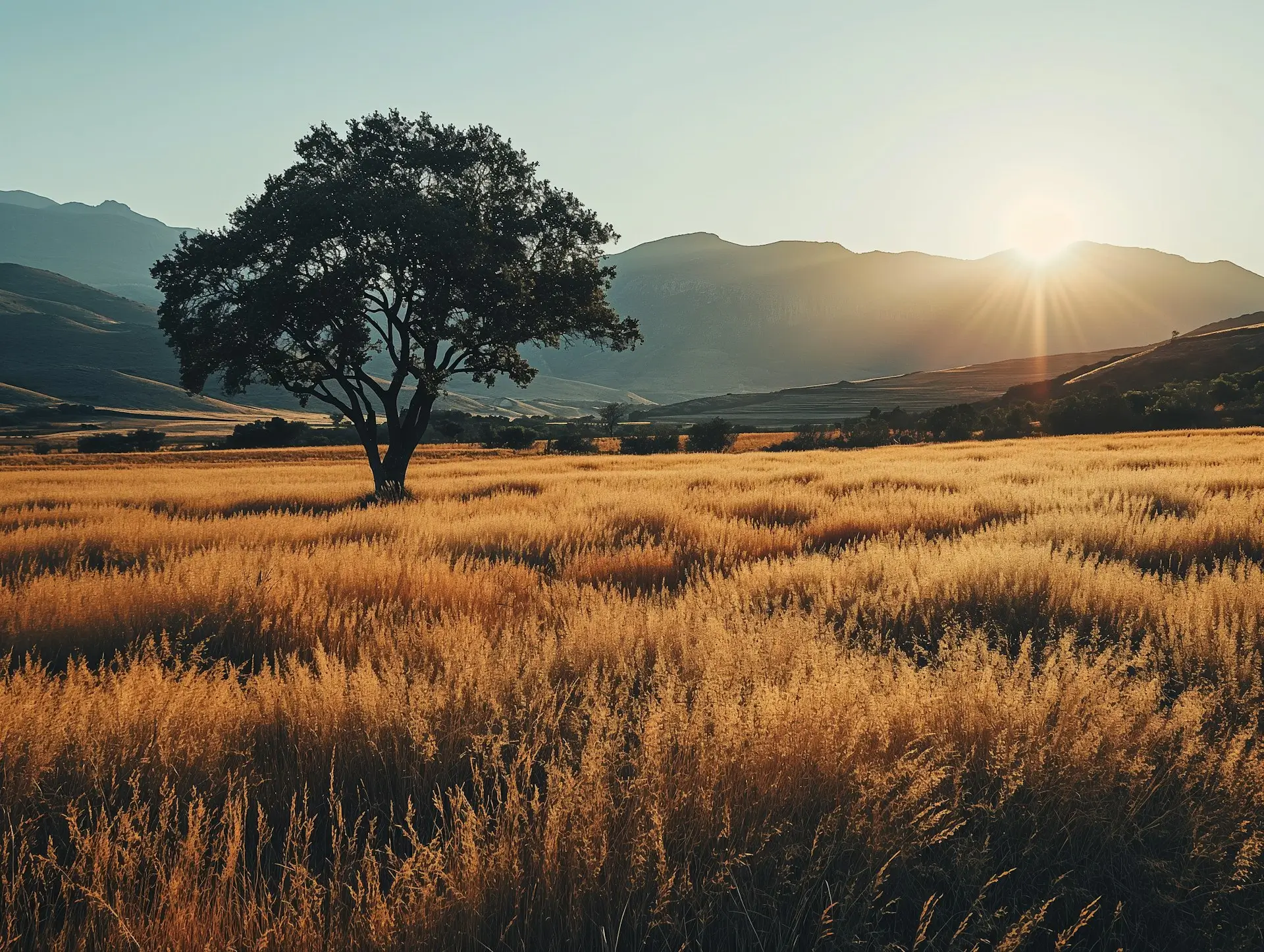 Top 2025 Branding Trends: From Monochrome to Sonic Identity